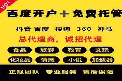 提高托管SEM竞价ROI的实战技巧